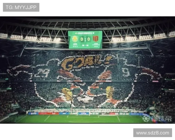 张玉宁工体TIFO照感恩铭记分享